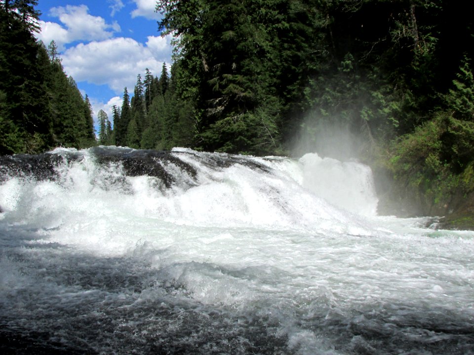 Lower Lewis River Falls Trail in WA