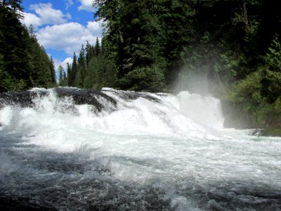 Lower Lewis River Falls Trail in WA photo