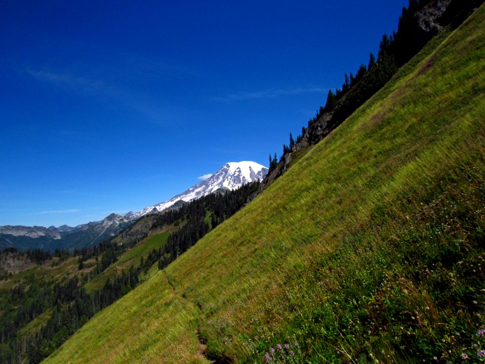 Mt. Rainier at Tatoosh Wilderness in WA