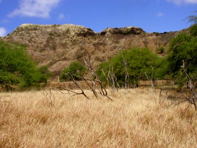 Diamond Head Crater