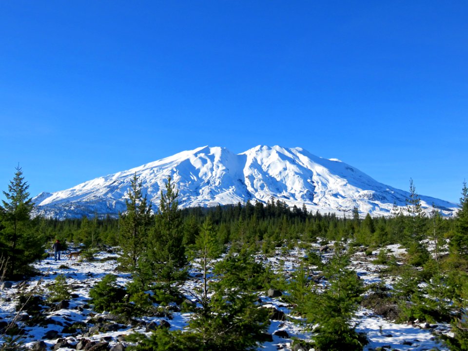 Mt. St. Helens at Lahar in WA