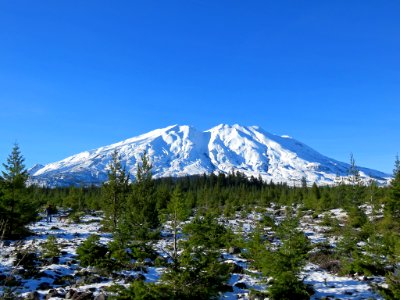 Mt. St. Helens at Lahar in WA photo