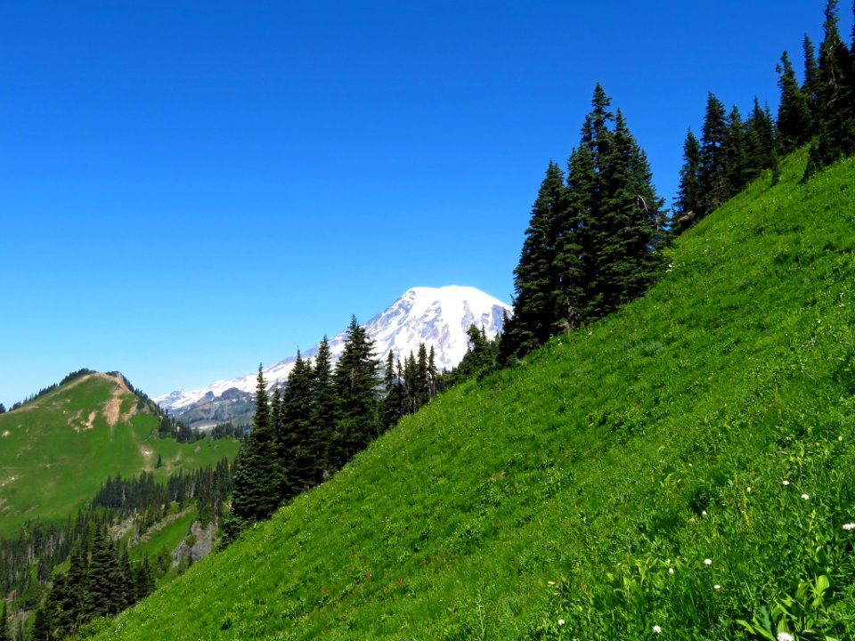 Tatoosh Peak Trail in WA