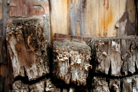 Blocky Bark