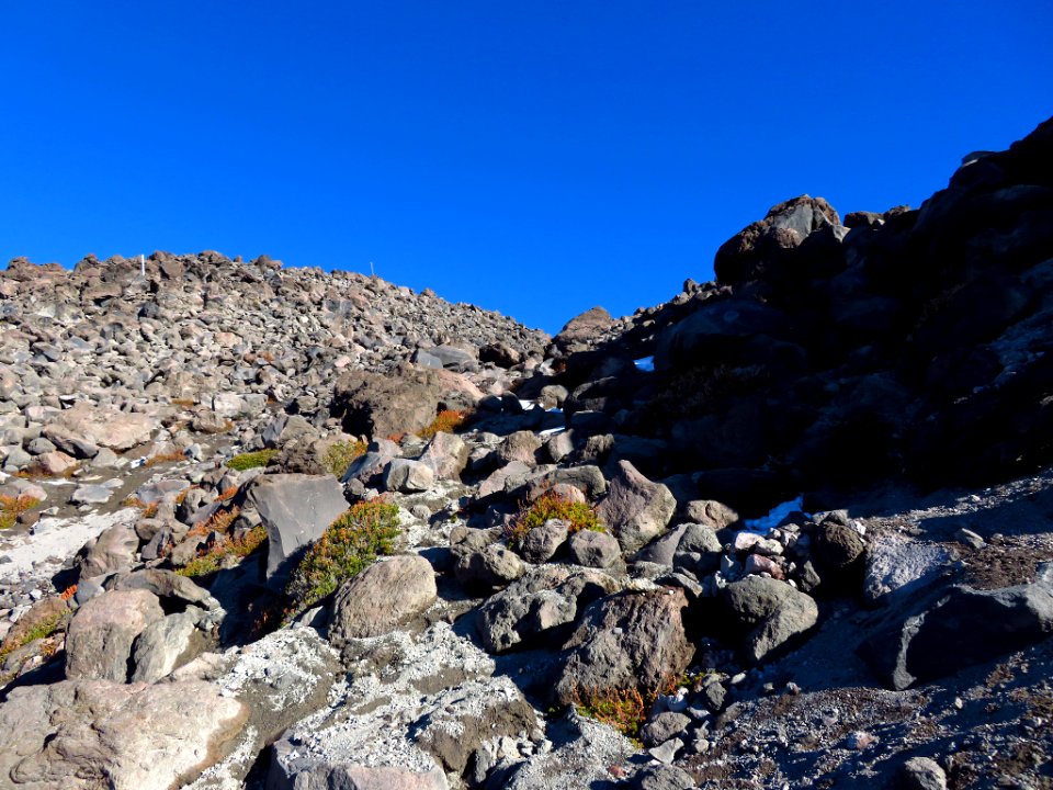 Mt. St. Helens Summit Trail in WA