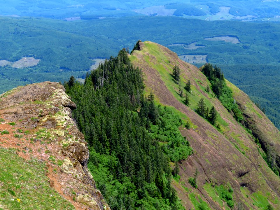 Saddle Mountain Trail in OR