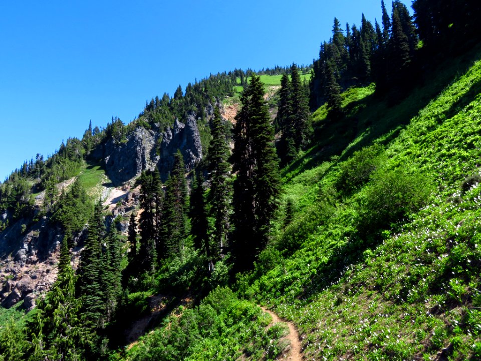 Tatoosh Peak Trail in WA