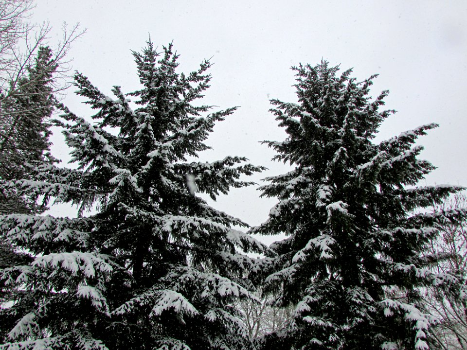 Winter in Vancouver, WA