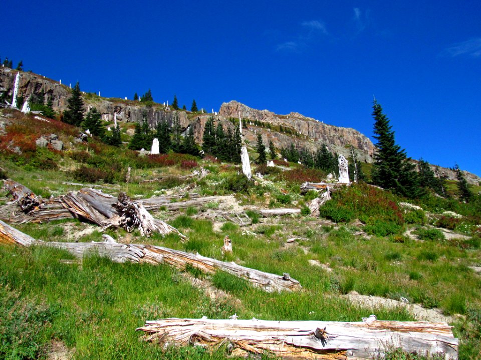 Coldwater Peak at Mt. Margaret Backcountry in WA