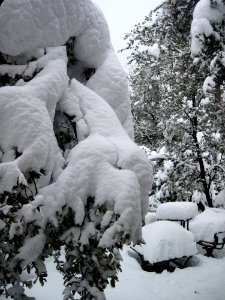 Piles High Everywhere
