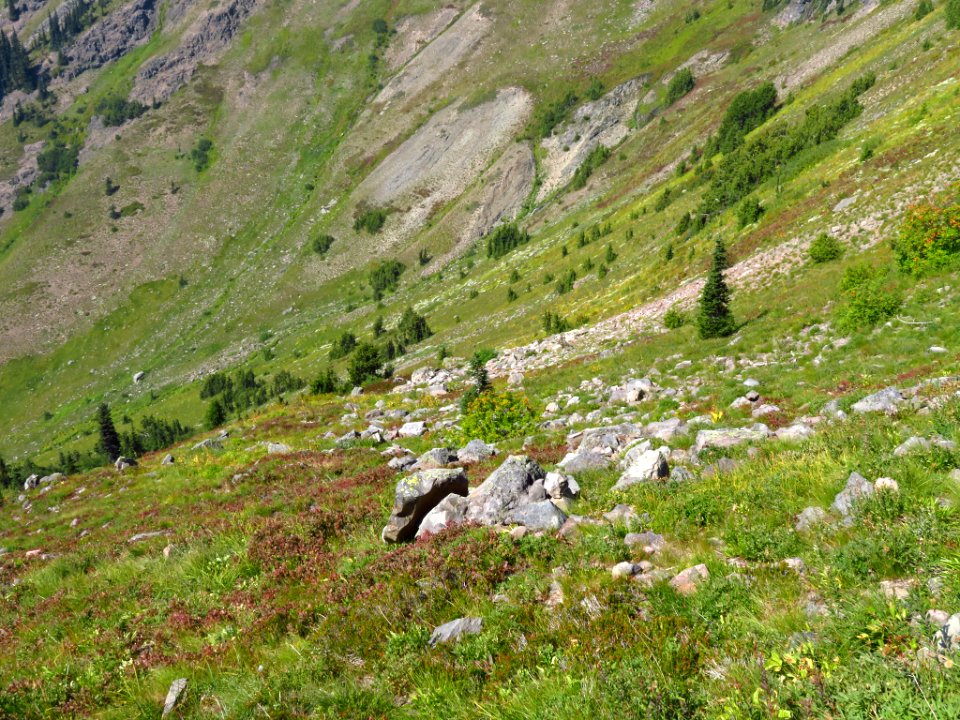 Goat Rocks Wilderness in WA