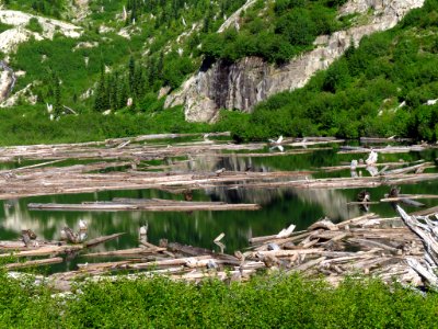 Grizzly Lake at Mt. Margaret Backcountry in WA