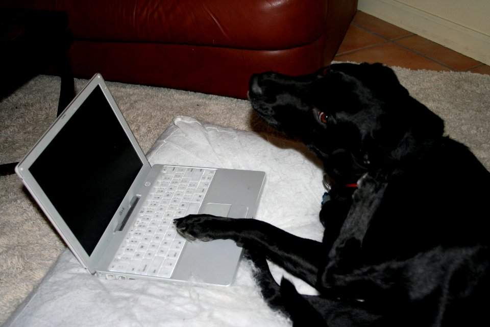 On the Internet...