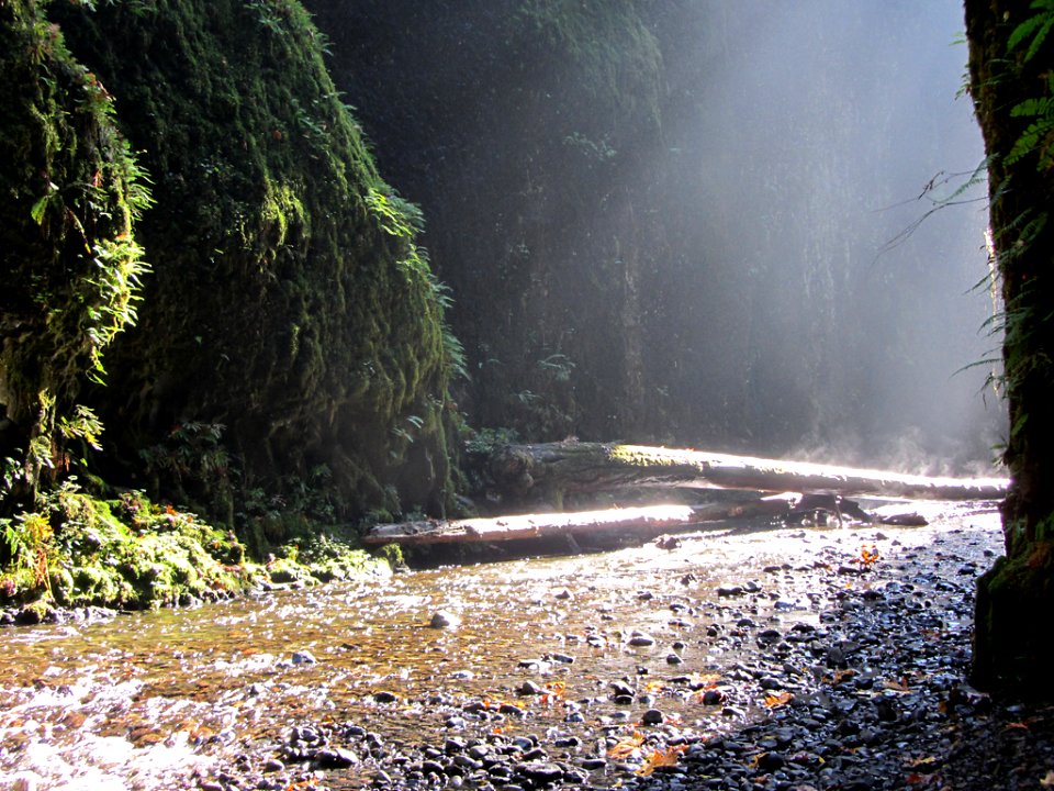 Oneonta Gorge at Columbia River Gorge in OR