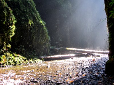 Oneonta Gorge at Columbia River Gorge in OR