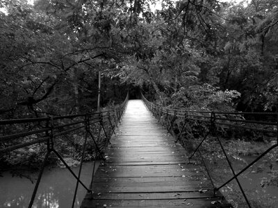 Steel wooden footbridge
