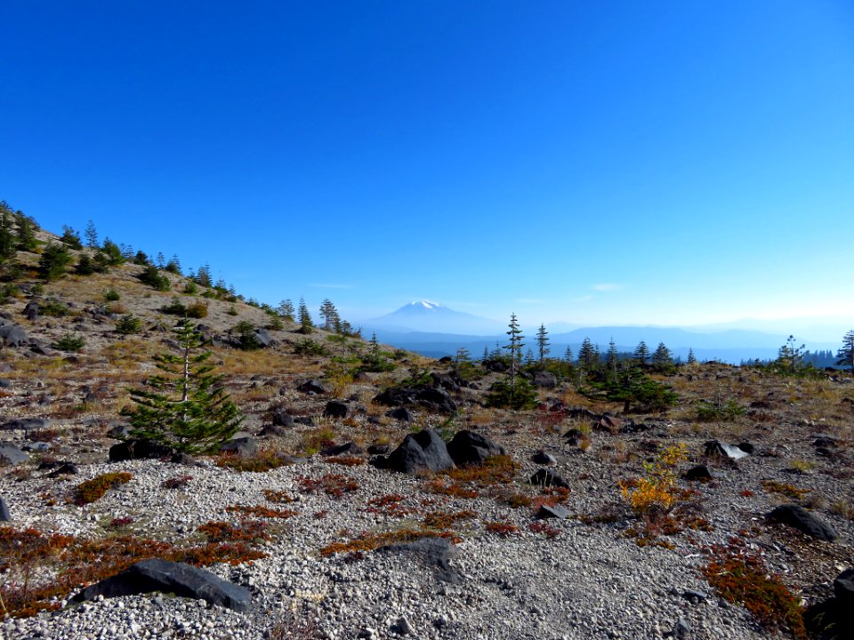 Ape Canyon Trail in WA