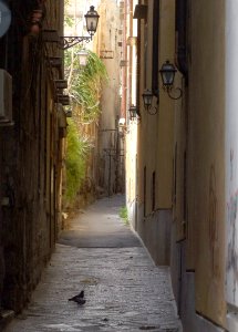 Palermo-Sicily-Italy - Creative Commons by gnuckx