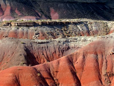 Painted Desert at Petrified Forest NP in Arizona photo