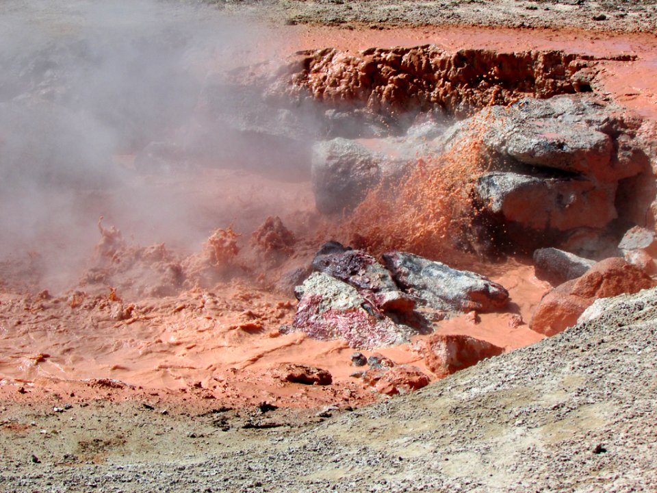 Yellowstone NP in WY