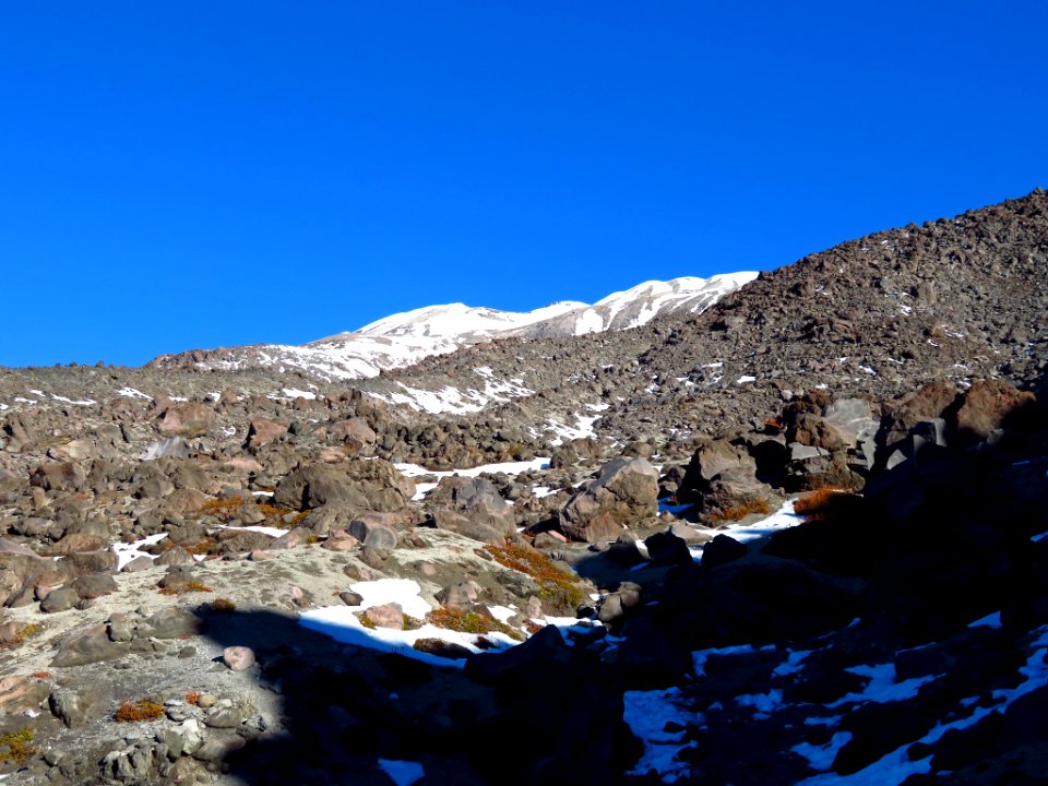Mt. St. Helens Summit Trail in WA