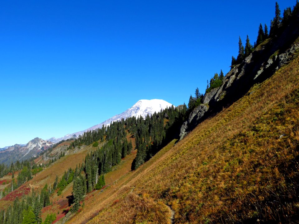 Mt. Rainier at Tatoosh Ridge in WA