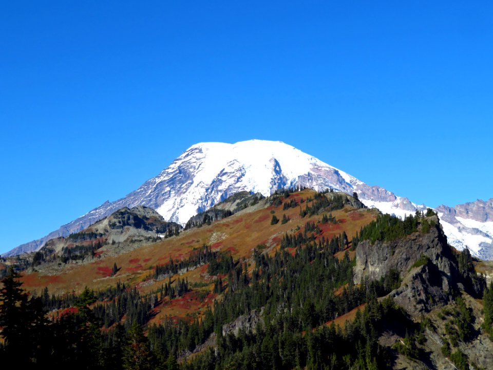 Mt. Rainier at Tatoosh Ridge in WA