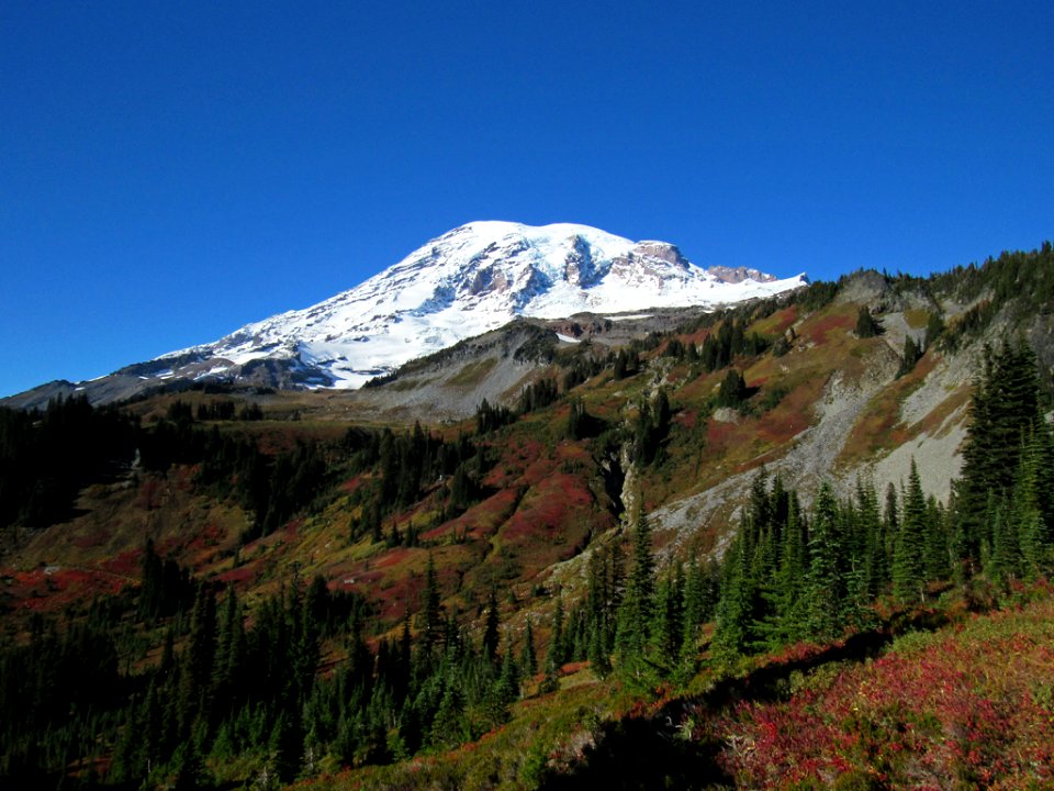 Autumn at Skyline Trail at Mt. Rainier NP in WA