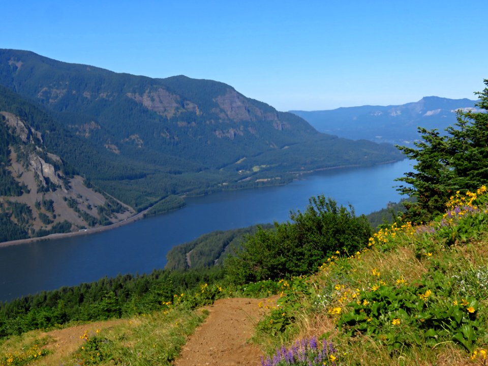 Dog Mountain Trail in Washington