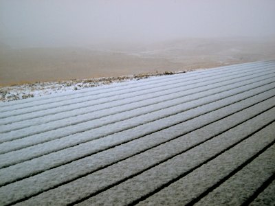 Snow Lines photo