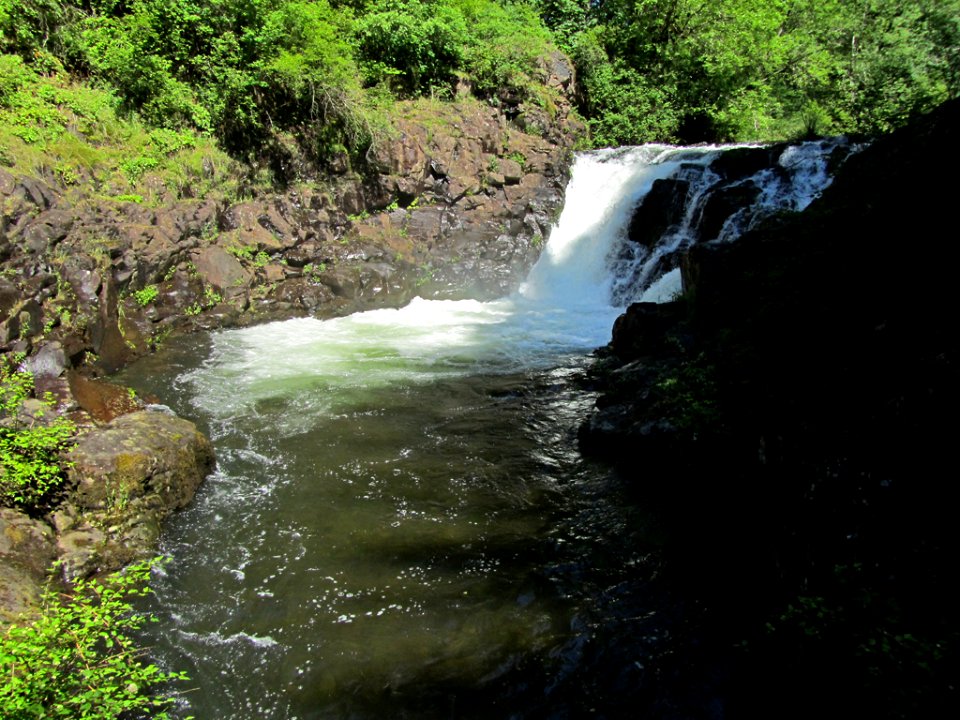 Moulton Falls Park at Lewis River in WA