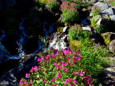 Loowit Falls Trail at Mt. St. Helens NM in WA photo