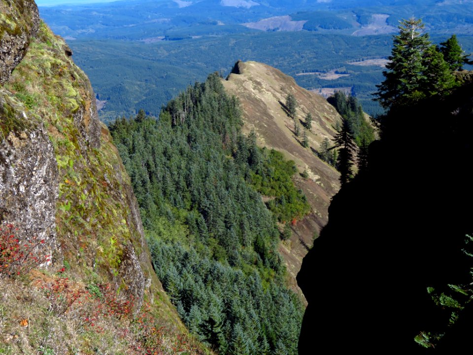 Saddle Mountain Trail in OR
