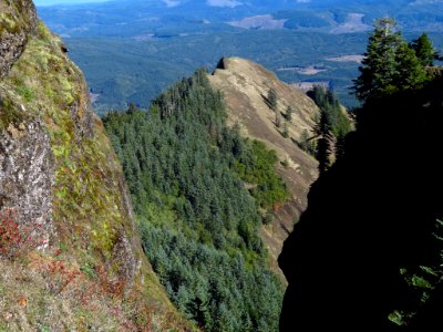 Saddle Mountain Trail in OR