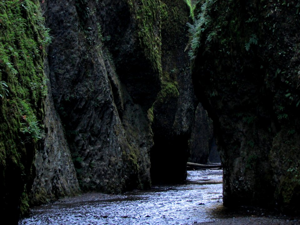 Oneonta Gorge at Columbia River Gorge in OR
