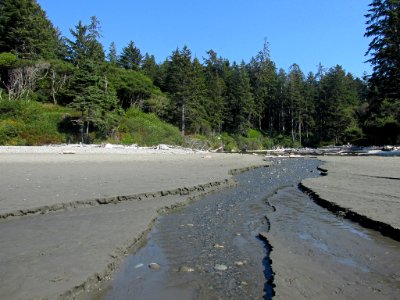 Ruby Beach at Olympic NP in WA