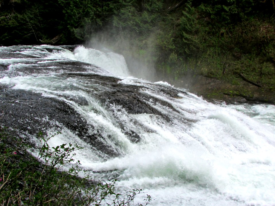 Lower Lewis River Falls Trail in WA