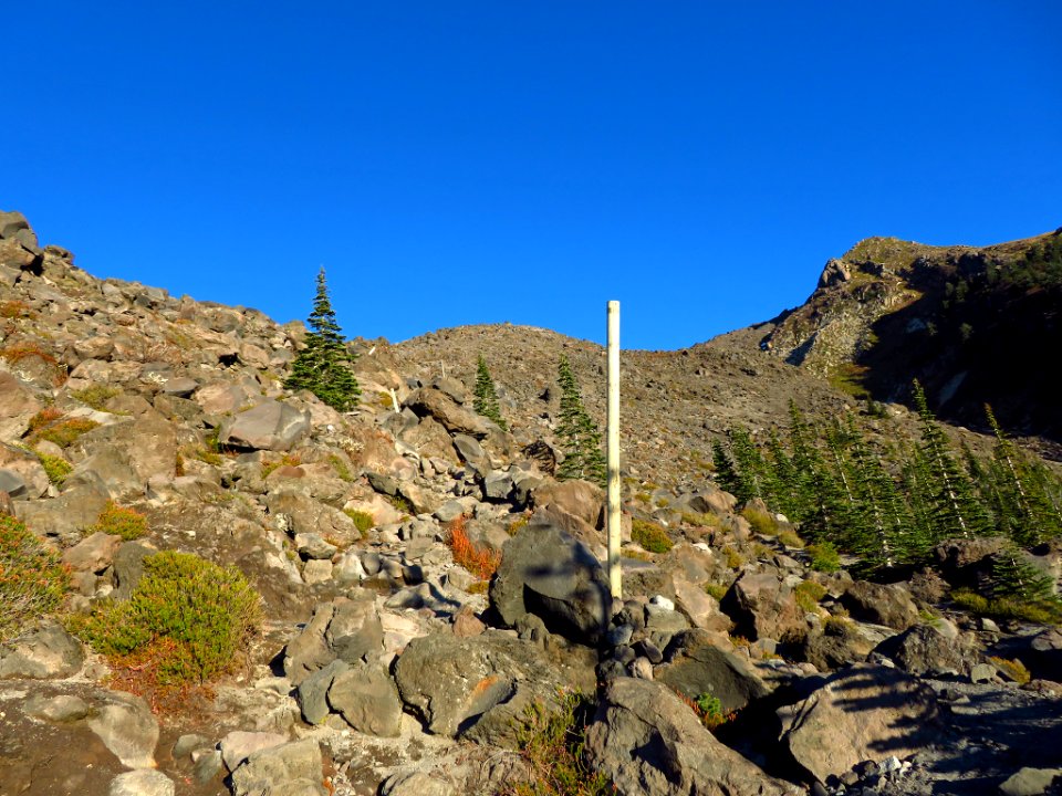 Mt. St. Helens Summit Trail in WA