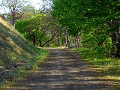 Crawford Oaks Trail at Columbia Hills SP in WA