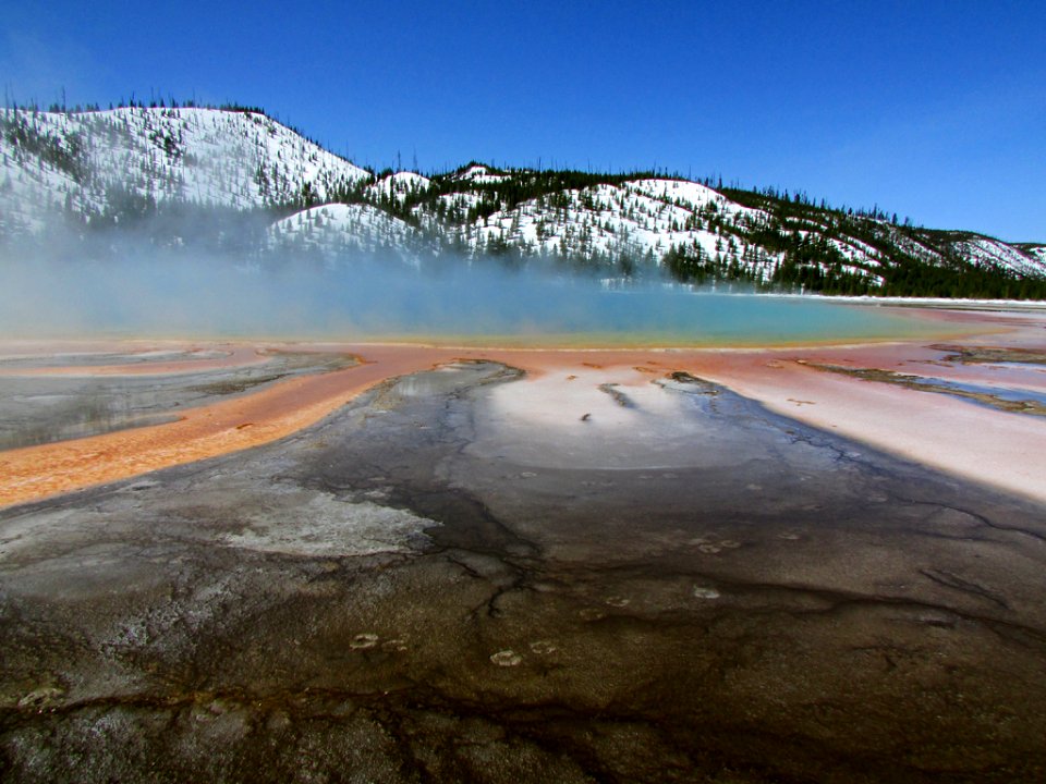 Yellowstone NP in WY