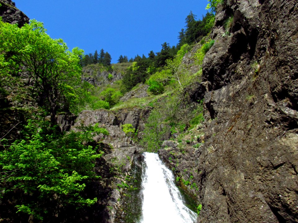 Dog Creek Falls Trail in WA