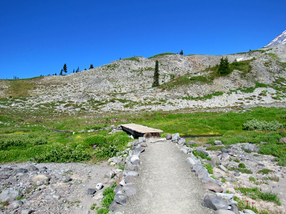 Paradise Skyline Trail at Mt. Rainier NP in WA photo