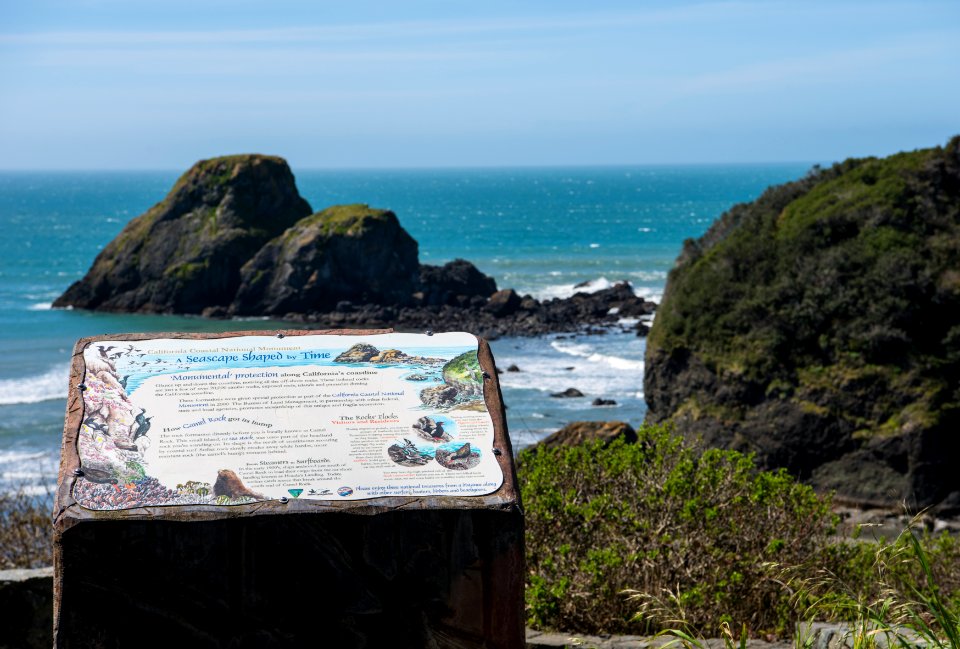 Trinidad Head