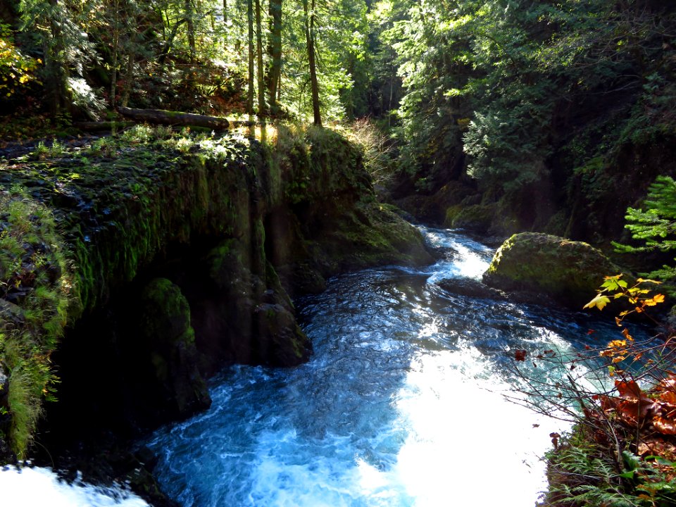 Spirit Falls Trail on Little White Salmon River in WA photo