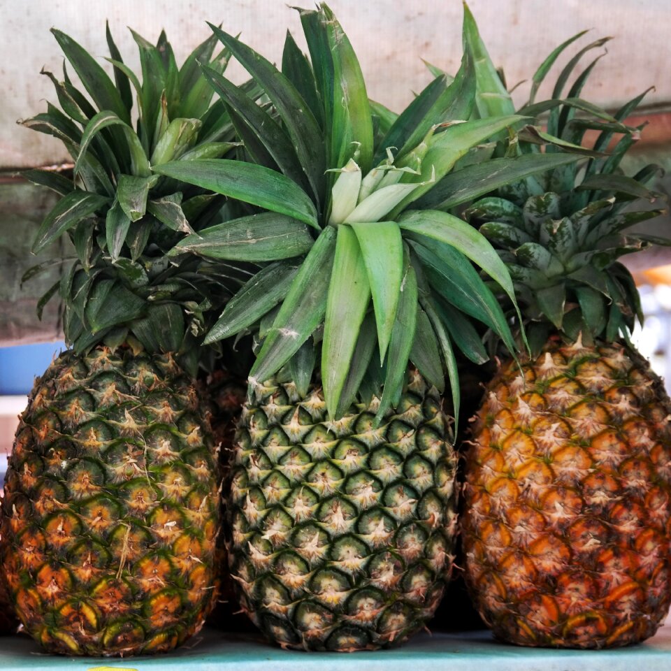 Food tropical healthy