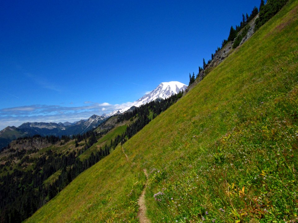 Mt. Rainier at Tatoosh Wilderness in WA