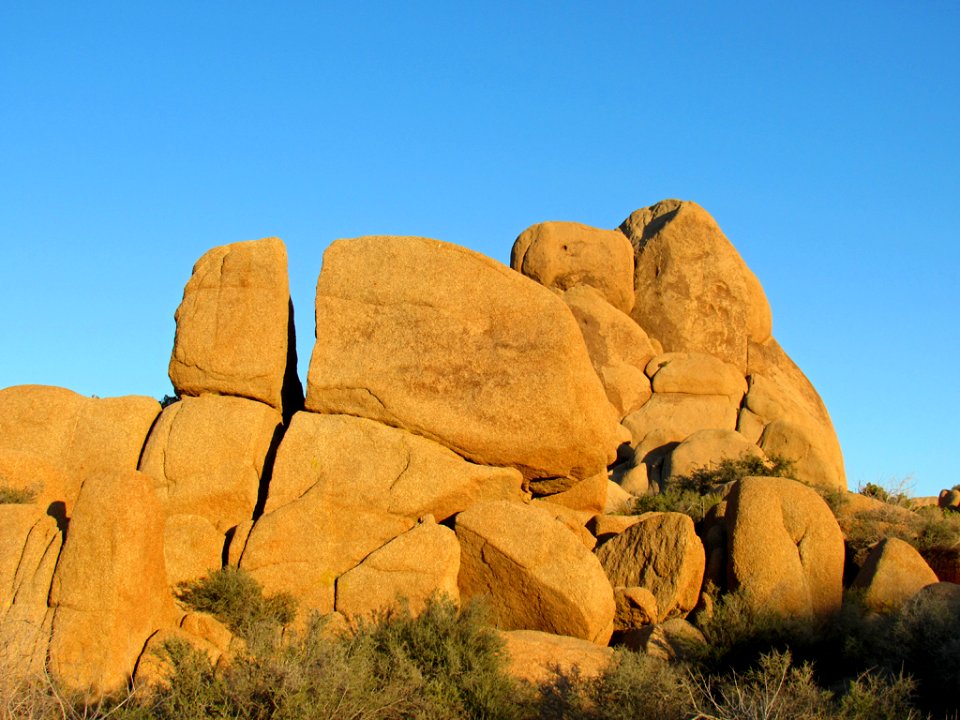 Joshua Tree NP in California