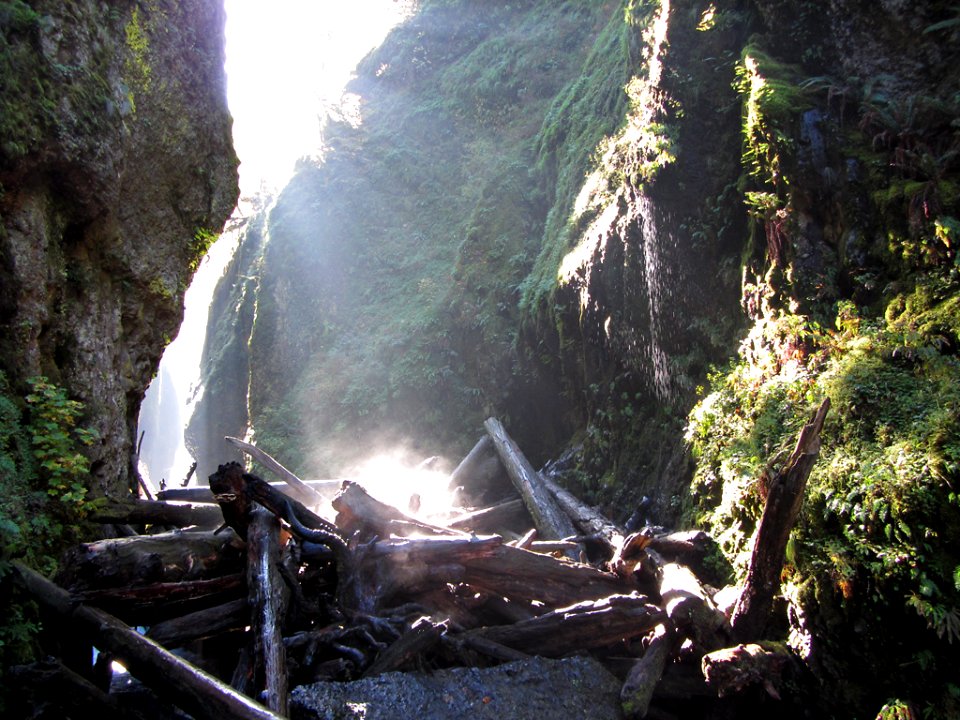 Oneonta Gorge at Columbia River Gorge in OR