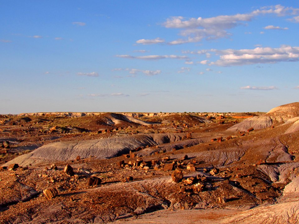 Crystal Forest at Petrified Forest NP in Arizona