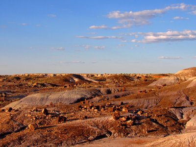 Crystal Forest at Petrified Forest NP in Arizona